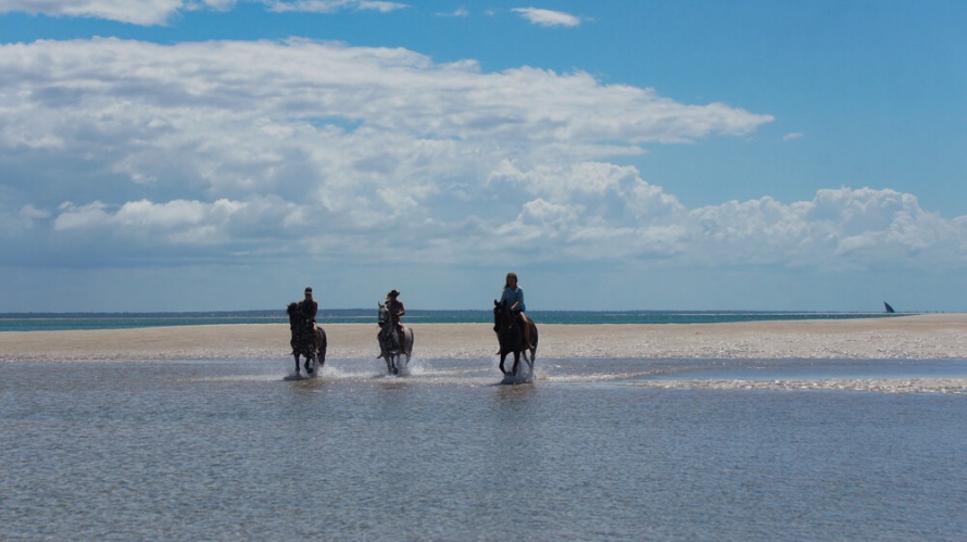 Vilanculos Coastal Wildlife Sanctuary @WorldwideHoofprints