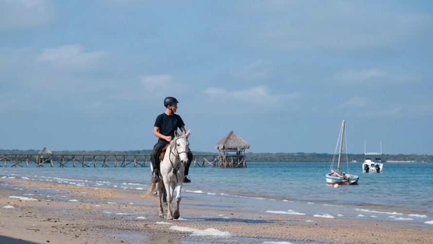 Horseback riding in the shores of Mozambique @WorldwideHoofprints