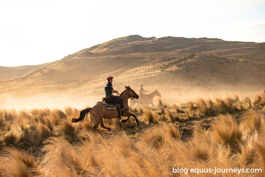 Riders cantering on the Córdoba hills
