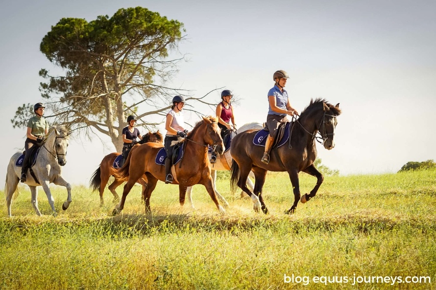 Group of riders riding in a field in Spain
