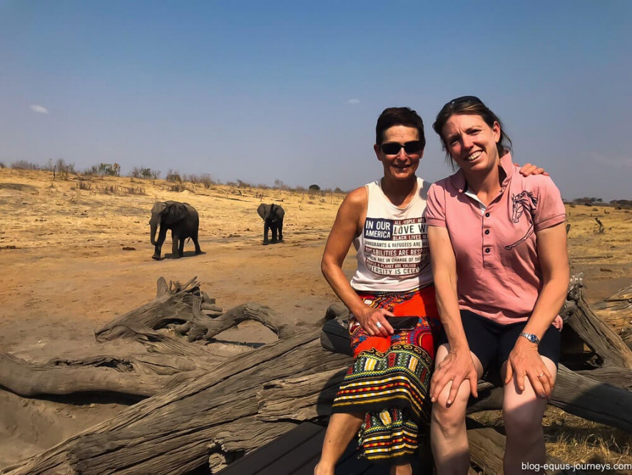 Elephant spotting in Hwange, Zimbabwe