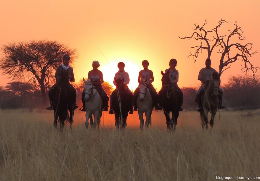 Louise's group of riders on safari in Zimbabwe