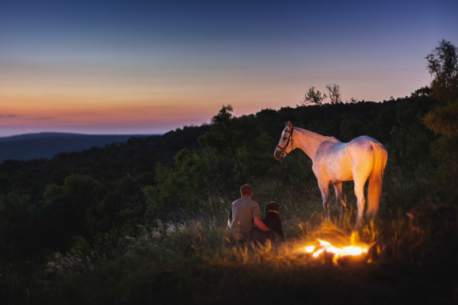 A magical camping experience at Ant's... By Teagan Cunniffe