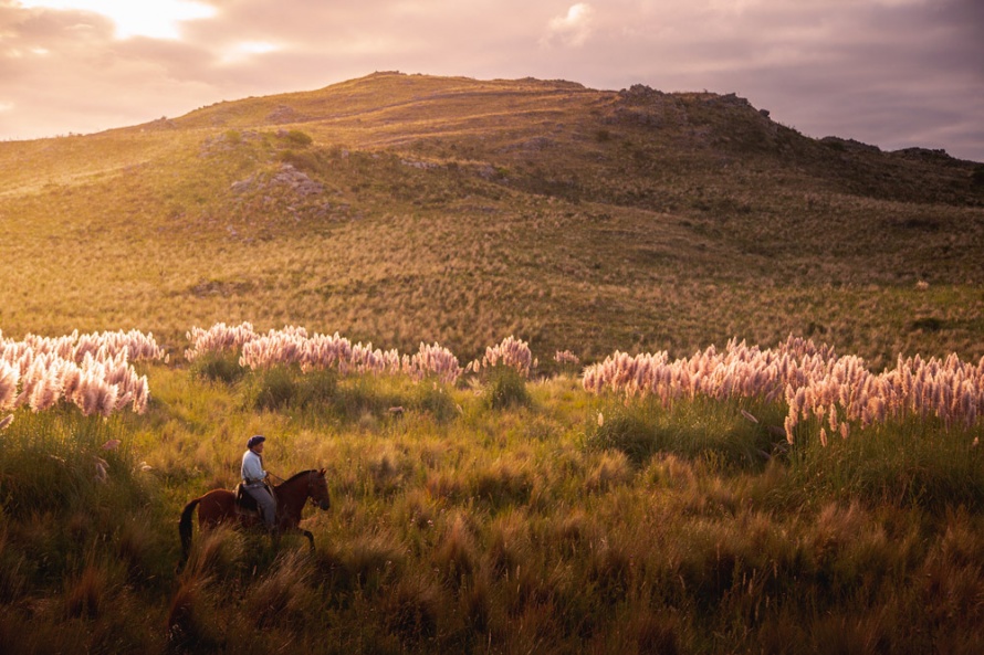 Estancia Los Potreros in Argentina, captured by Teagan Cunniffe