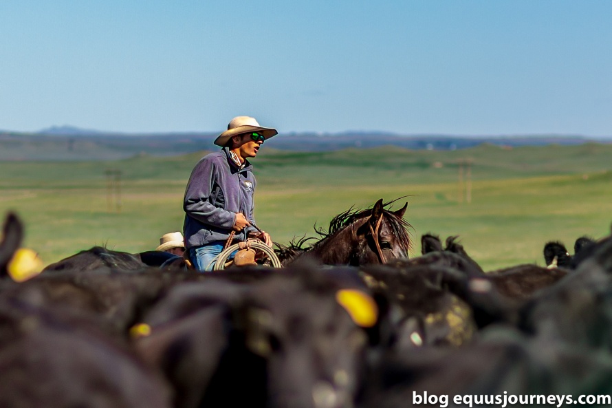 Kara Creek Ranch, Wyoming