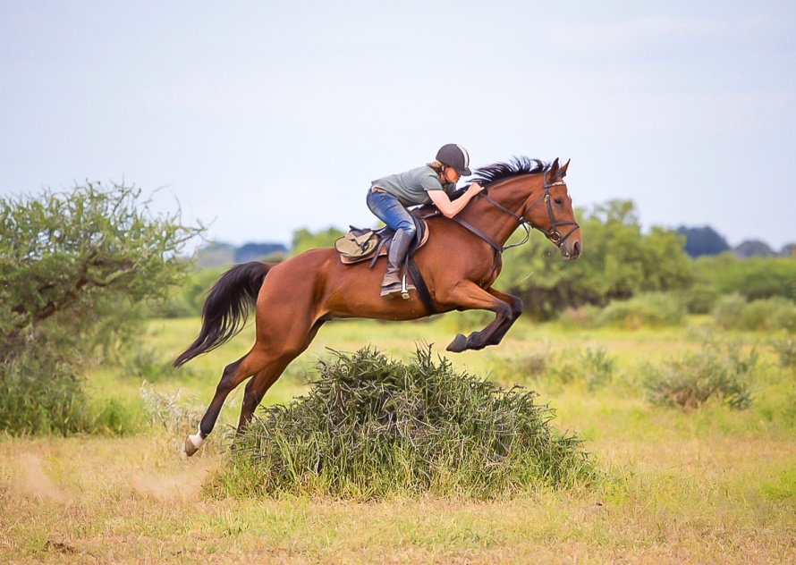 Bush jumping in Mashatu, Botswana!