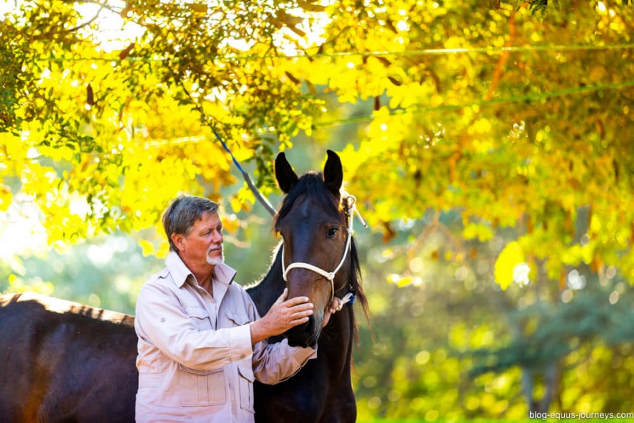 Pat Retzlaff, Mozambique Horse Safari