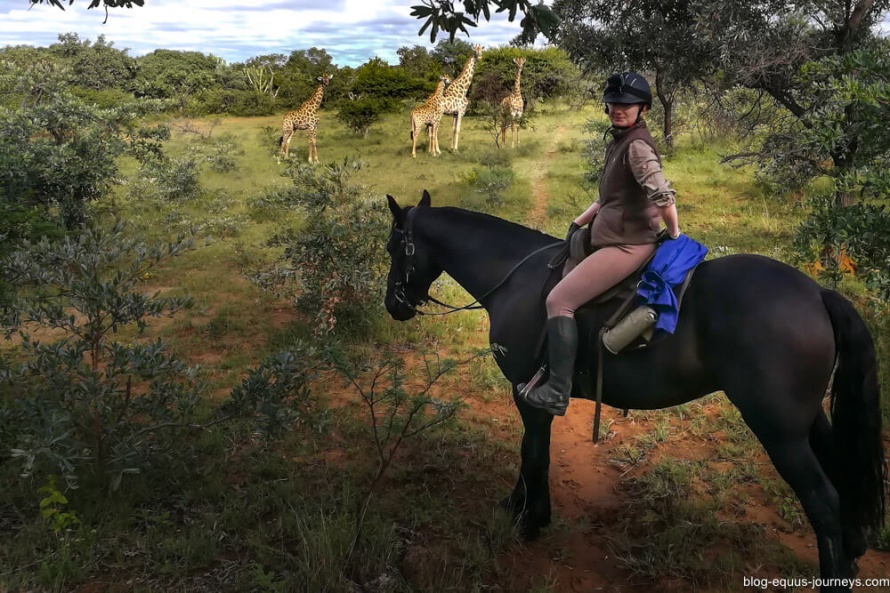 Iris in the saddle getting close to the wildlife @EquusBl