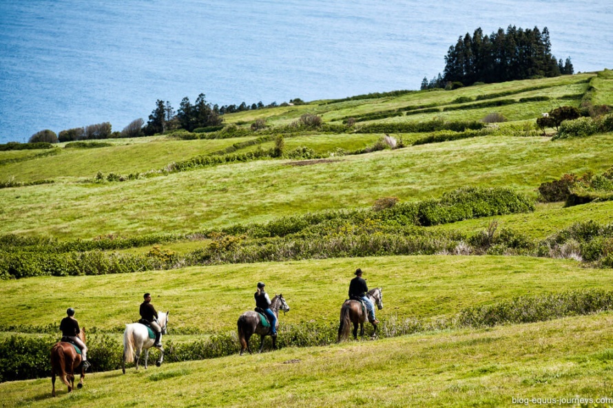 4-5 hours in the saddle every day to explore all the corners of the island @BlogEquusJourneys