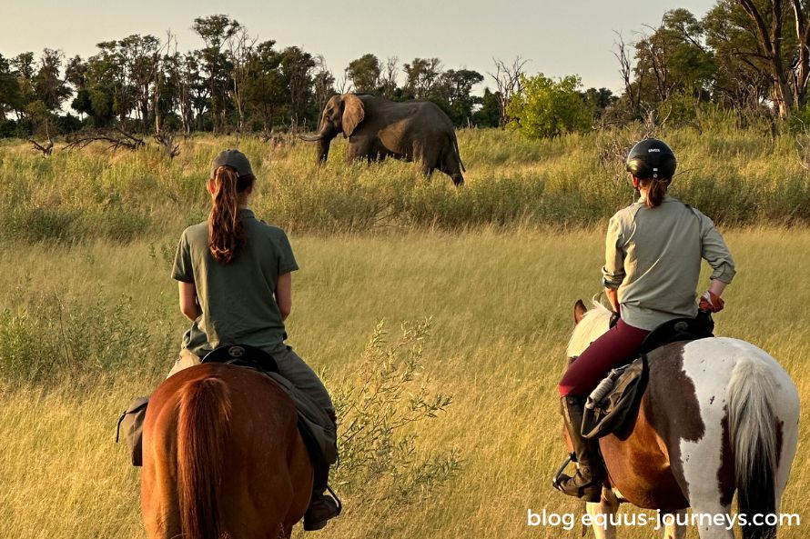 Elephant spotting from horseback at Cha Cha Metsi camp