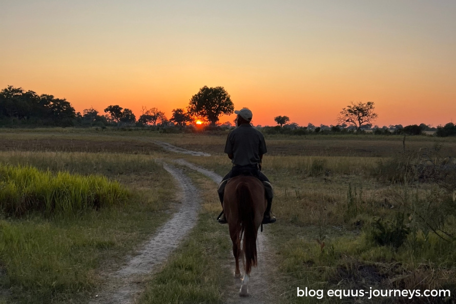 Sunrise ride at Kujwana camp in the Okavango Delta