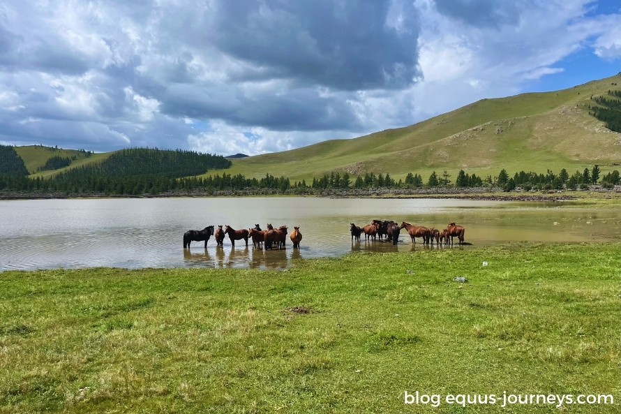 Beautiful landscapes in Mongolia