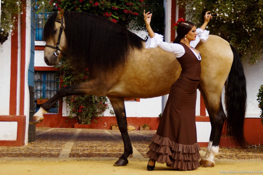 Horses and flamenco are match made in Spain @BlogEquusJourneys