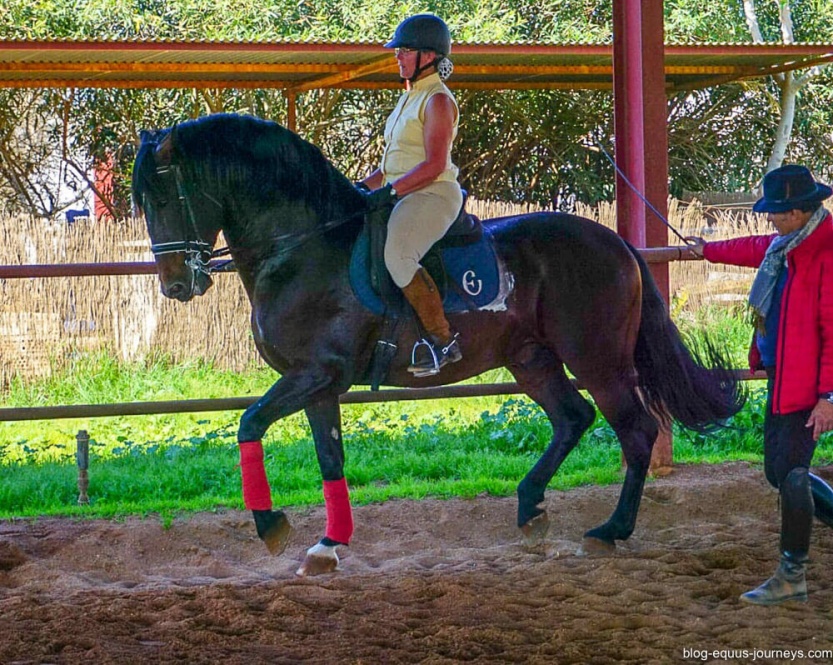 Dressage lessons from Rafael Soto @BlogEquusJourneys