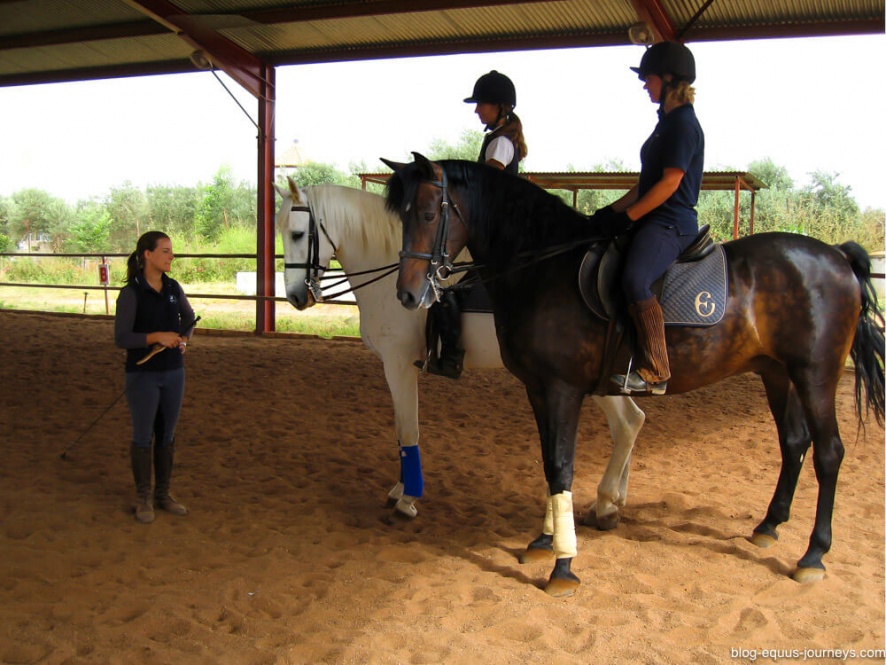 Dressage training with experience trainers @BlogEquusJourneys