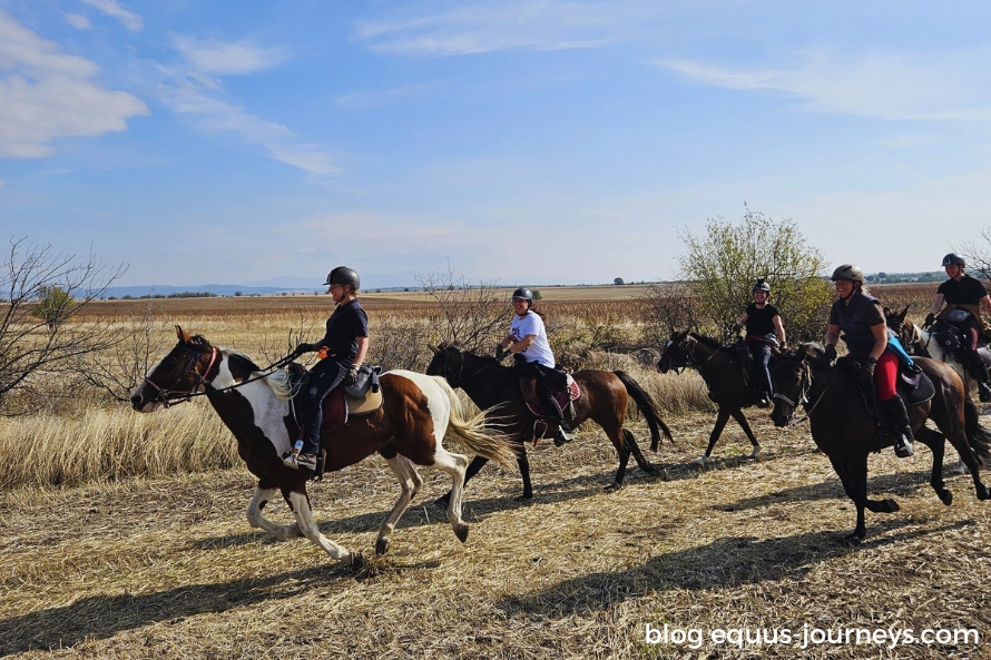 Riders cantering in a field in Bulgaria