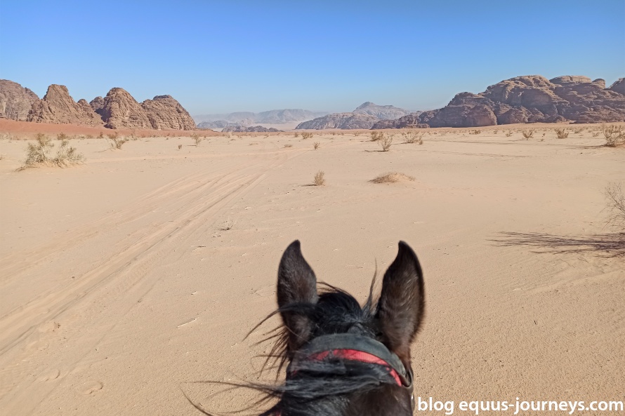 The Wadi Rum on horseback - best seat in the house!