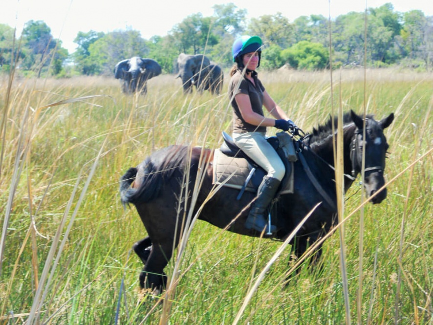 Riding with elephants in the Okavango Delta