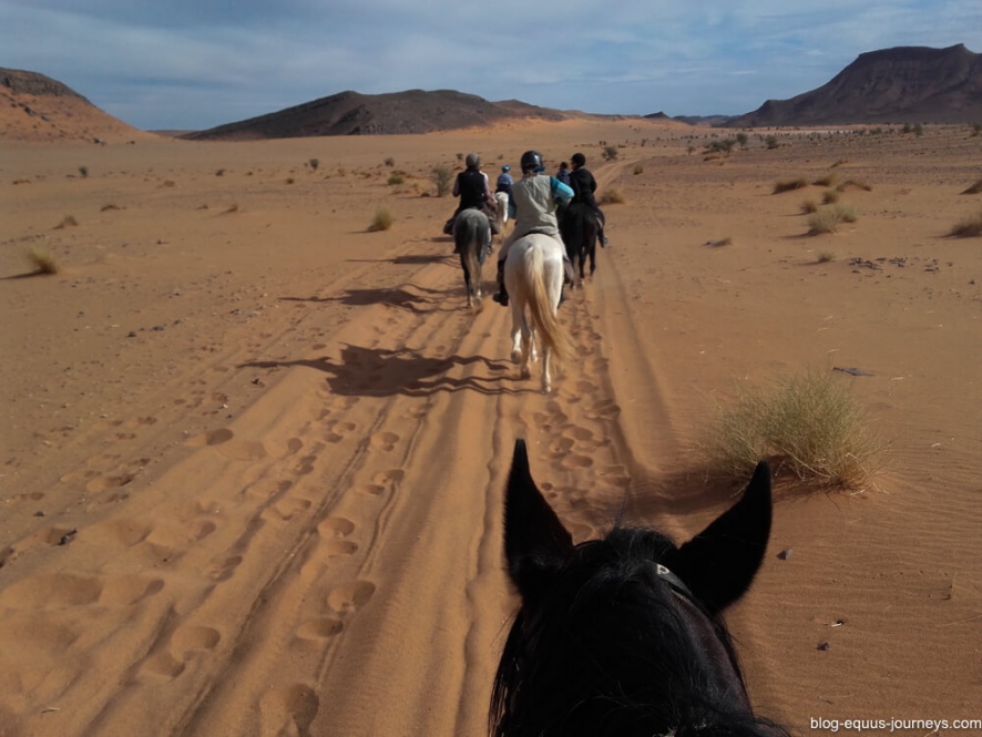 Riding across the Sahara desert @WorldwideHoofprints