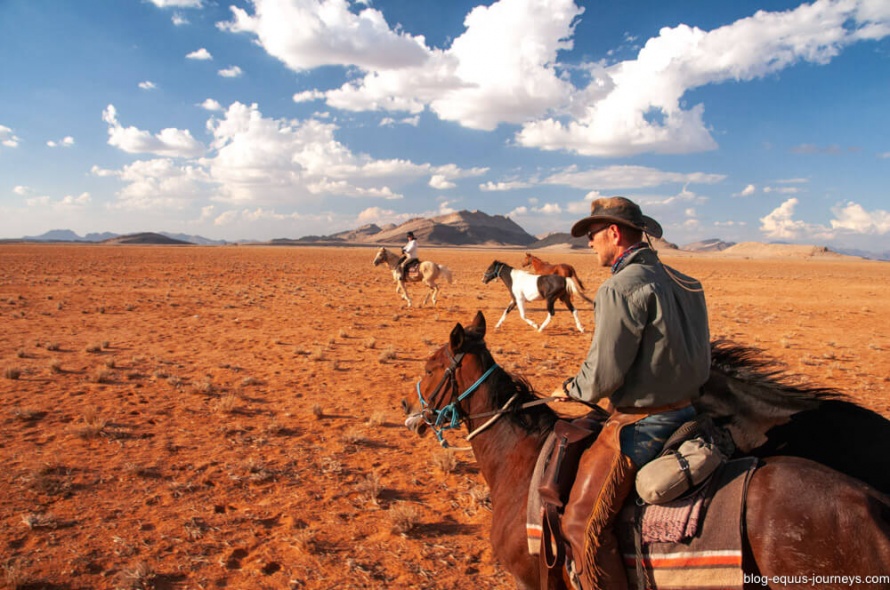 Crossing on horseback the oldest desert in the world @BlogEquusJourneys