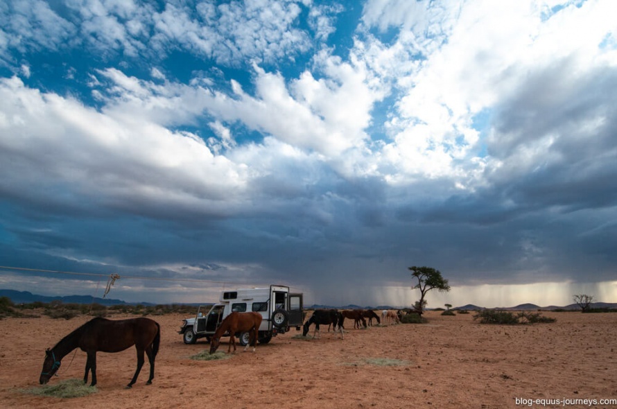 An unexpected torrential rain in the Namib Desert trail ride @BlogEquusJourneys