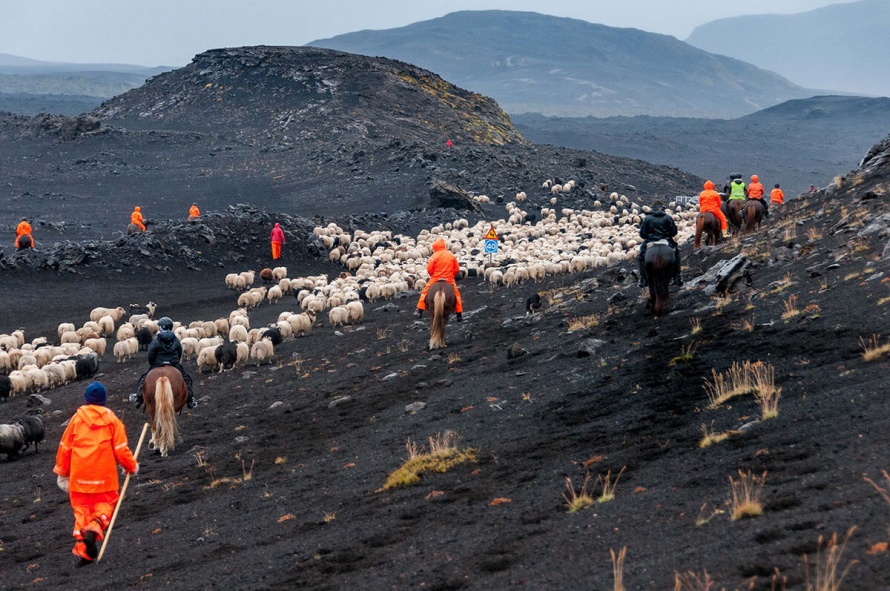 A riding holiday with a purpose in Iceland (c) Equus Journeys