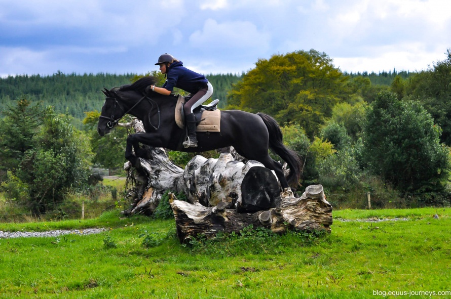 Cross-country jumping at Slieve Aughty, Co. Galway