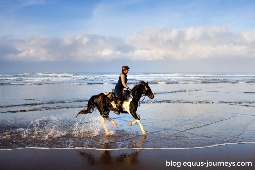 Wild Coast Mini Trail, in South Africa