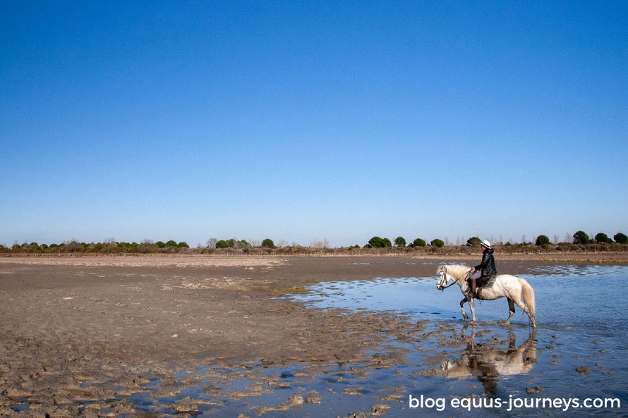 Beaches of Camargue