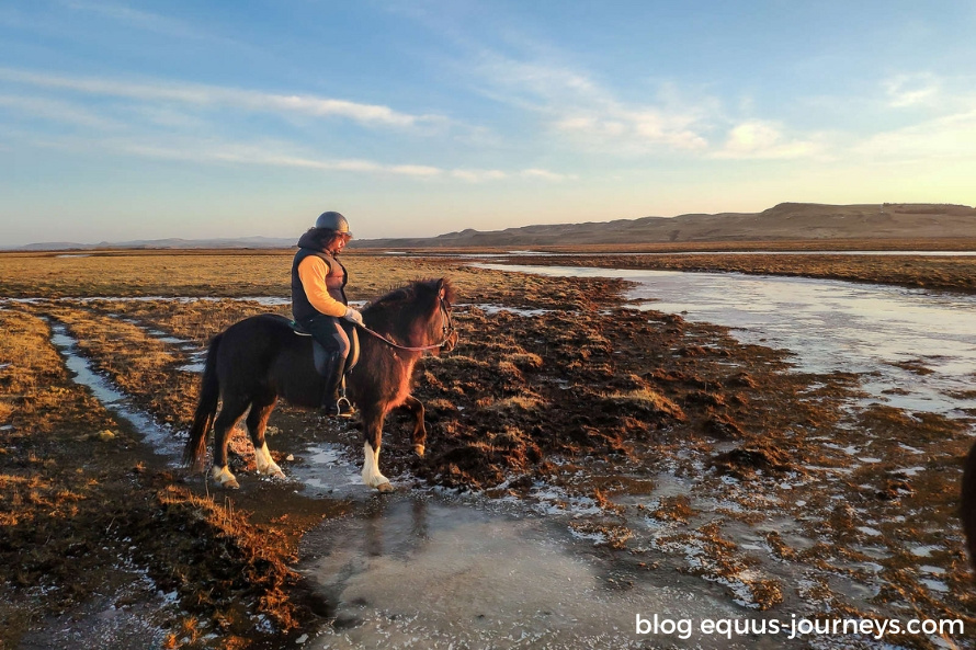 Northern Lights Farm Stay, in Iceland