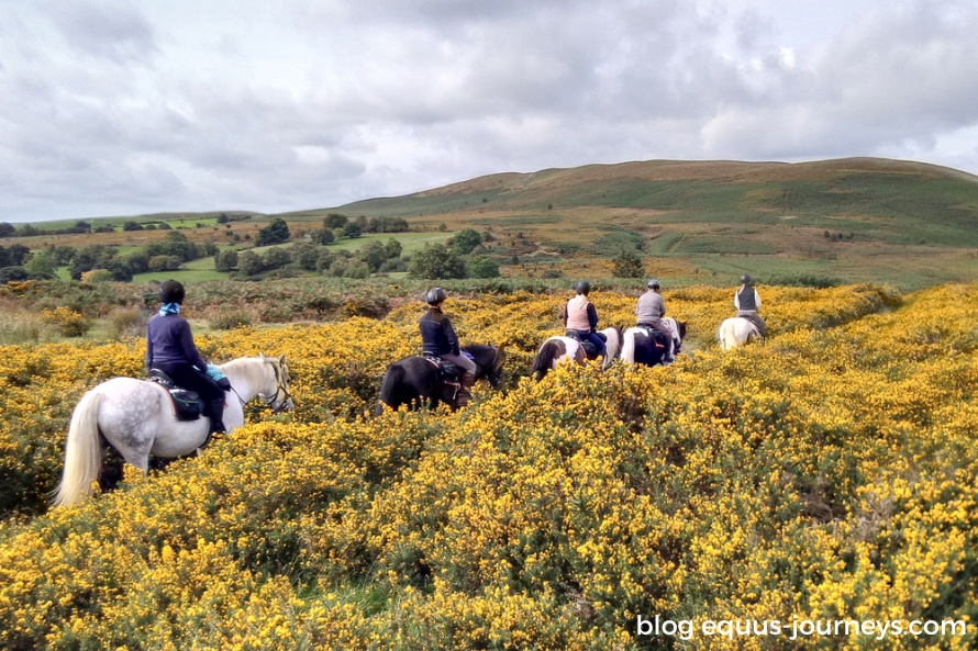Silver Jonh trail, in Wales