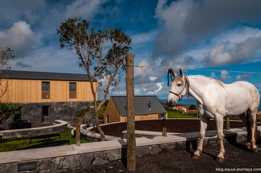 Patio Lodge in the Azores is an eco-tourism lodge and a great place to stay