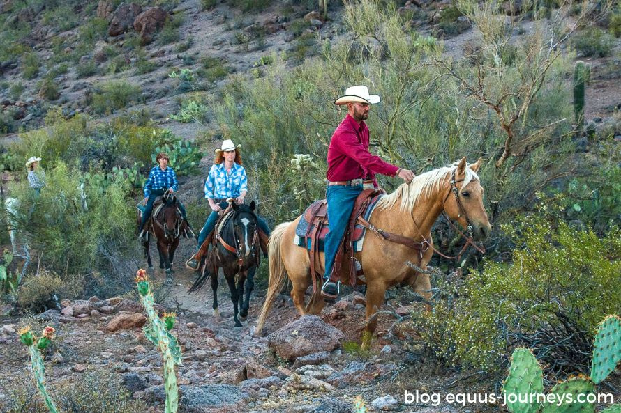 Trail rides at White Stallion Ranch