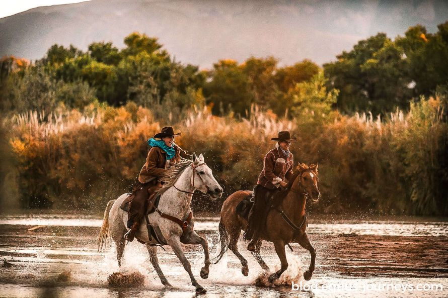 Riding rescue horses in New Mexico