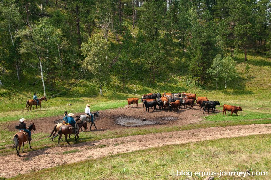 An authentic cowboy experience at Kara Creek