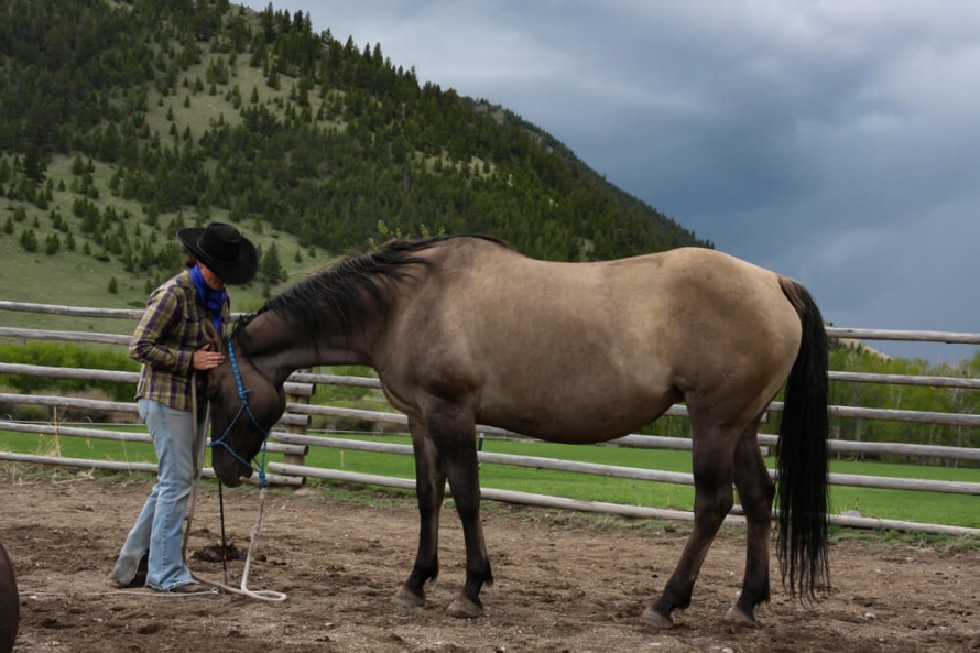 Natural Horsemanship at Rocking Z Ranch @WorldwideHoofprints
