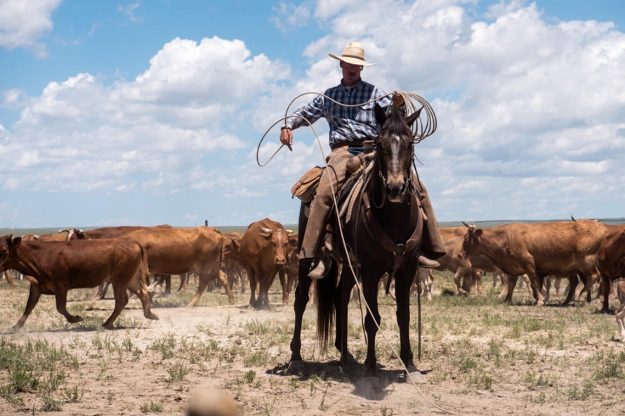 Chico Basin Cowboys in Colorado @WorldwideHoofprints