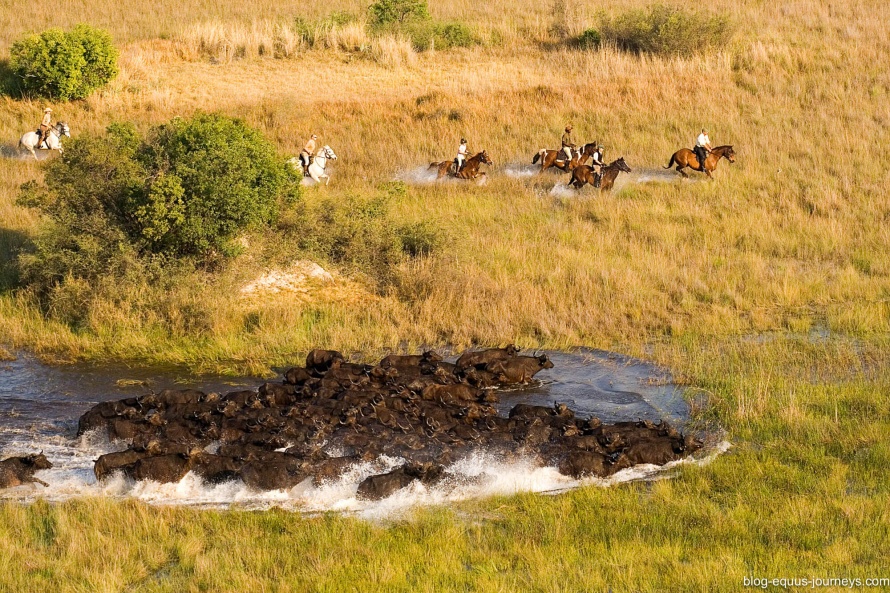 The floodplains of the Okavango during the African winter