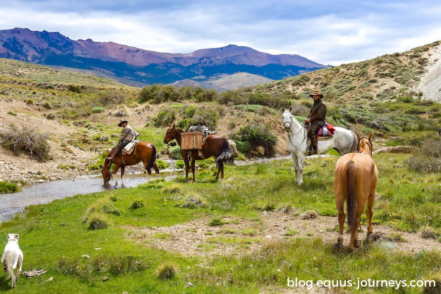 Riding in Wild Patagonia!