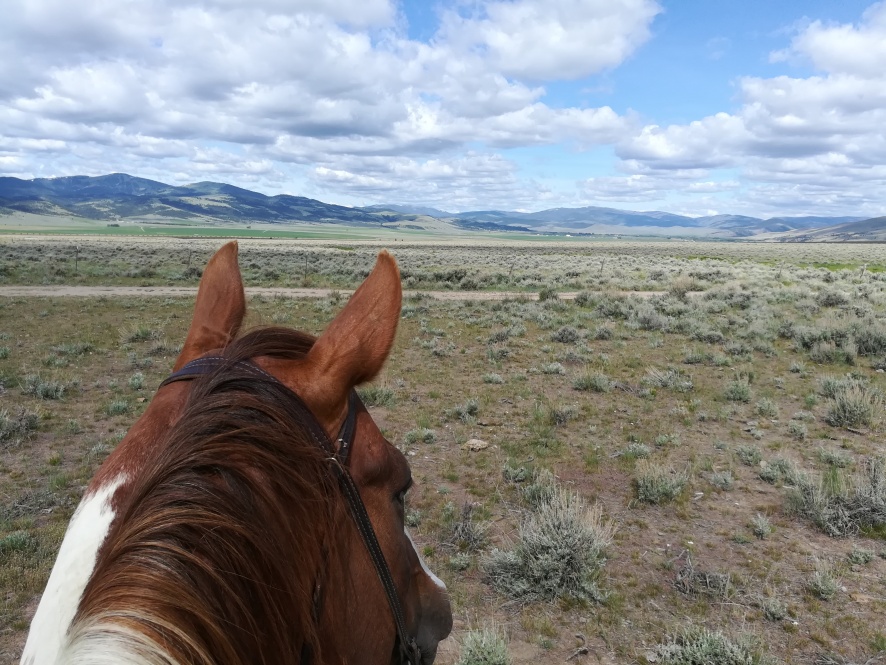 Trail riding with Sativa in Montana