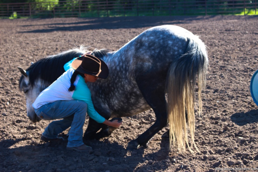 Natural horsemanship demonstration at the Rocking Z ranch