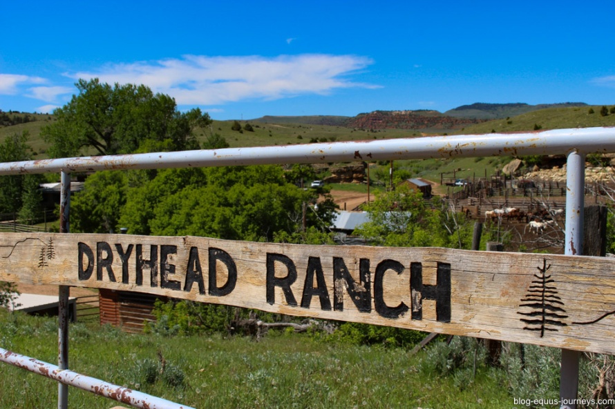 Welcome to the Dryhead Ranch, Montana