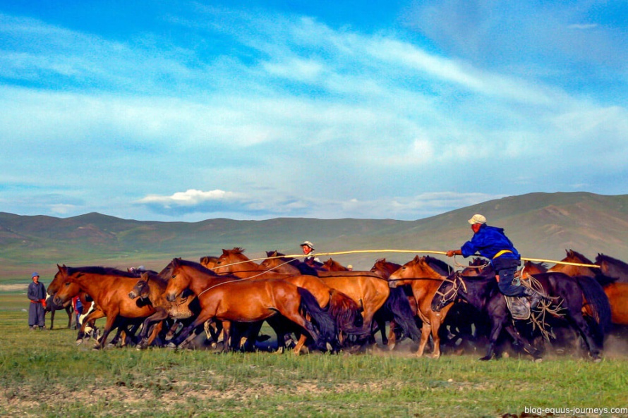 Orkhon comfort tour, Central Mongolia @BlogEquusJourneys