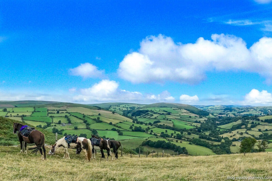 The green countryside of the Welsh Prince Trail @BlogEquusJourneys
