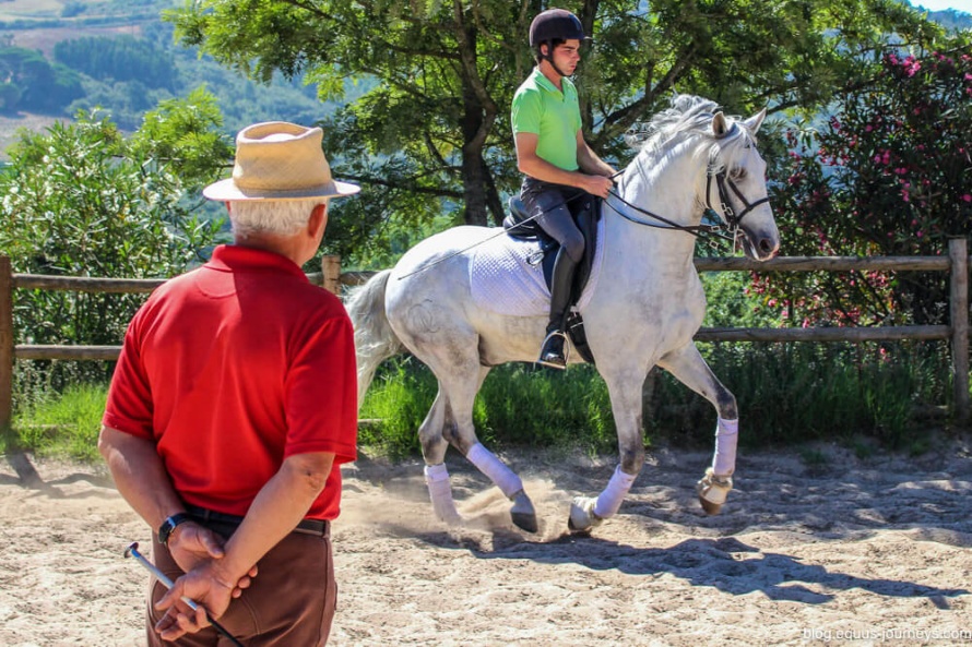 Dressage training Alcainça, in Portugal