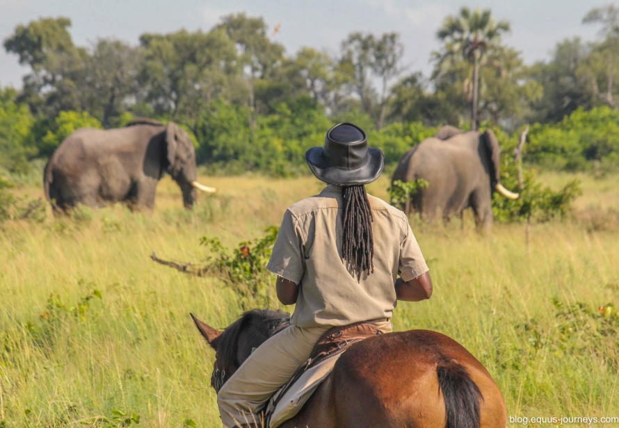 Riding with elephant in the Okavango Delta, Botswana (Across the Okavango)